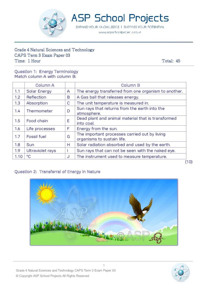 Grade 4 Exam Papers and Answers