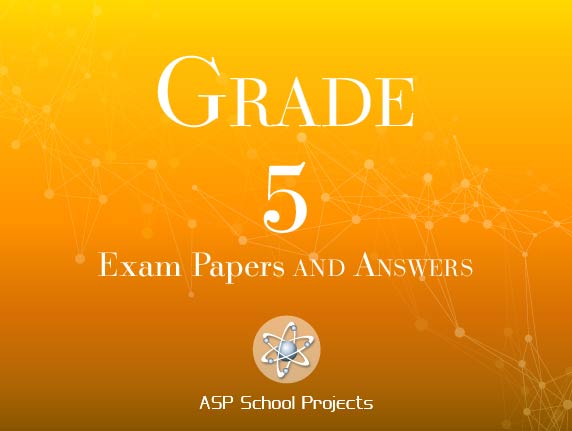 Grade 5 practice test papers for exam preparation | CAPS